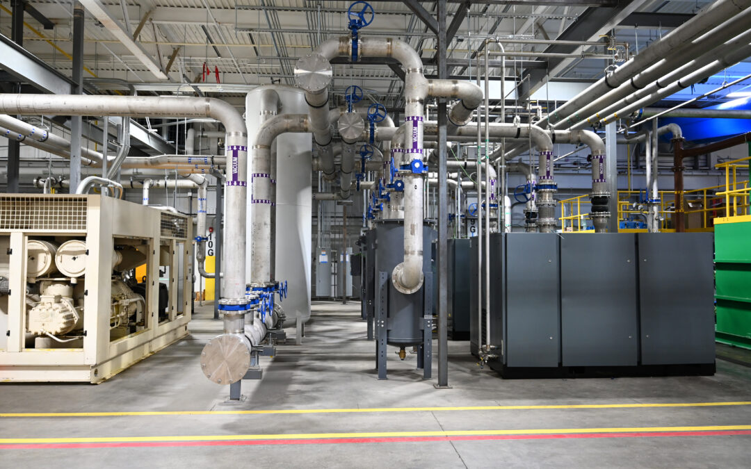 Project Gulf Can – Line 1 Piping Install